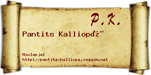 Pantits Kalliopé névjegykártya
